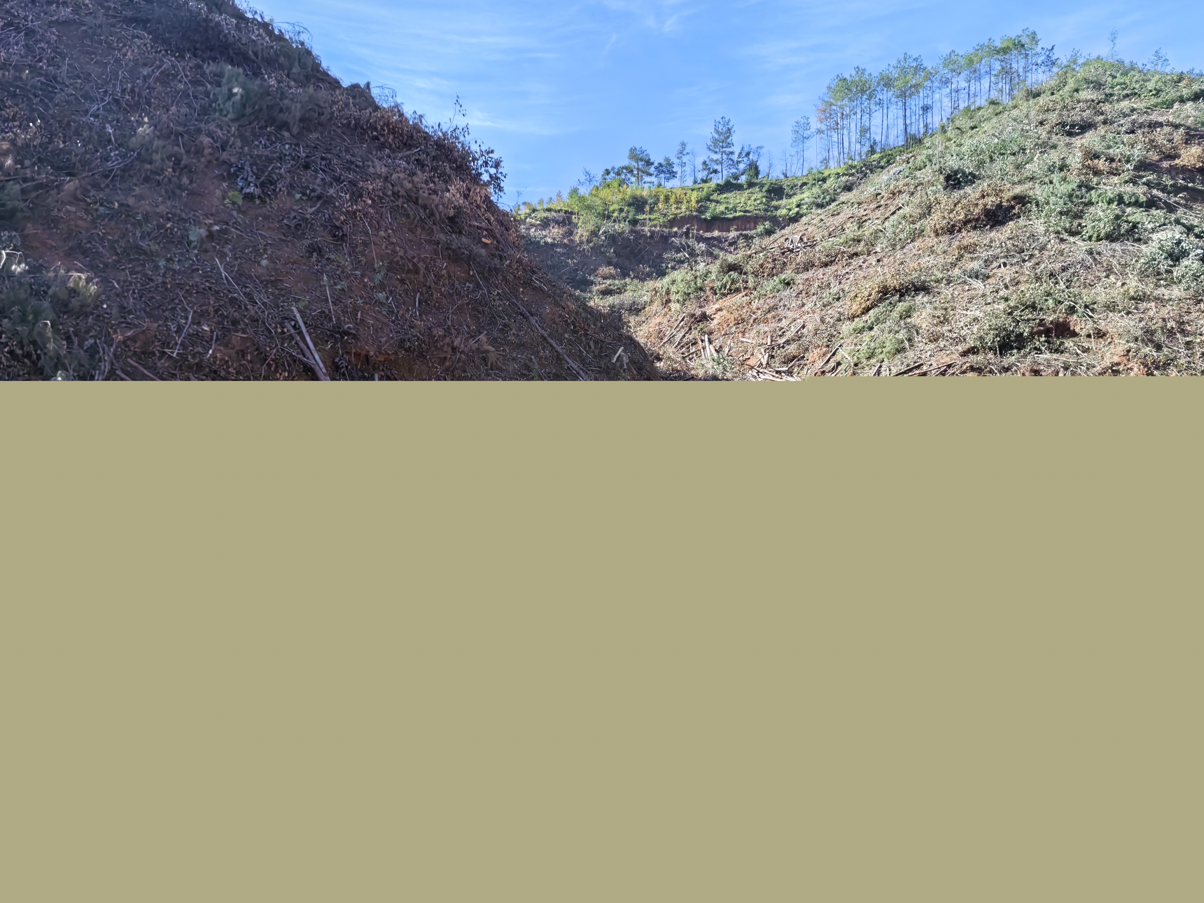 平安常青，我們在行動——常青分公司開展安全生產(chǎn)日活動