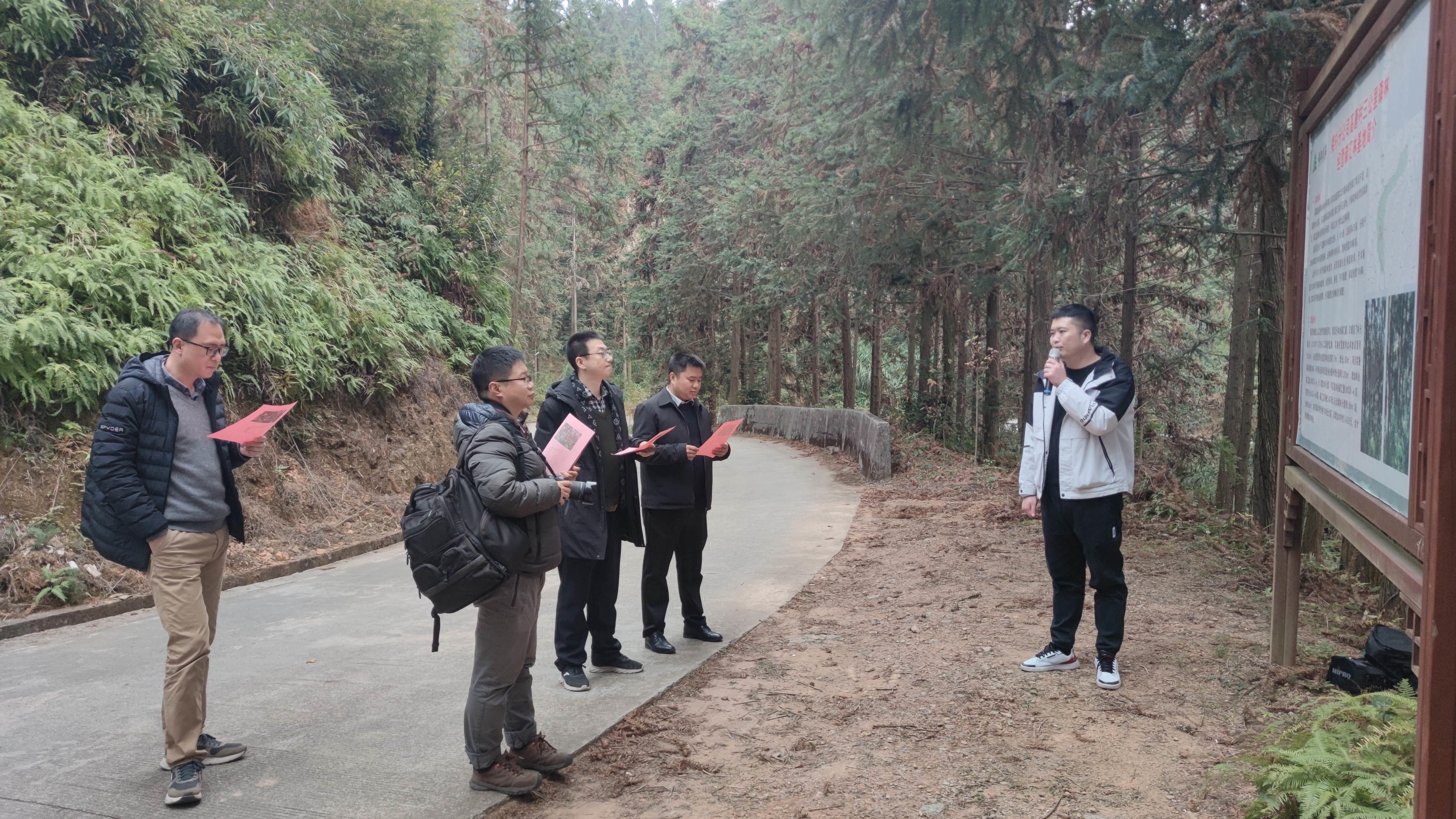 福建金森與上海園林集團(tuán)——強(qiáng)強(qiáng)交流促合作，共繪林改新藍(lán)圖