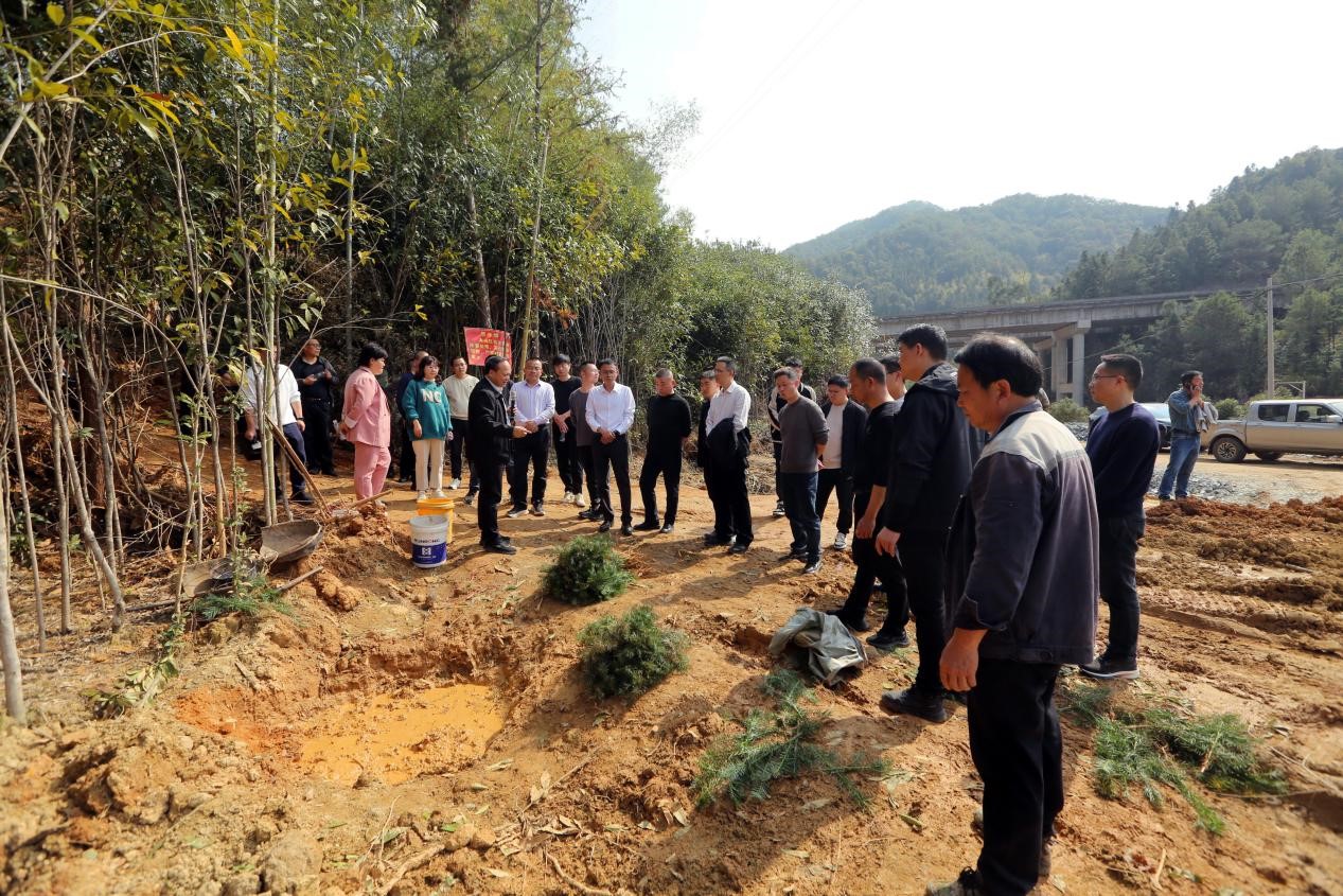不負春光好，搶播萬畝林 ——將樂縣村企合作造林工作現(xiàn)場會在福建金森召開